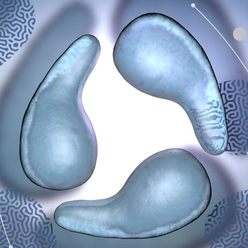 aptima-mrna-hpv-test